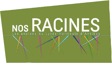 Nos racines